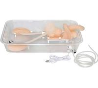 1pc Anatomical Kidney Model for Healthcare applications Training,Ureteroscopy Simulation Model for Students,Professionals