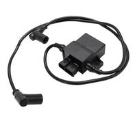 1PC BOX Igniter Coil Compatible With 700 2002-2004 600 2003-2004 Fits Part Number 4010364 Works With Spark Plugs Socket ATV Accessories