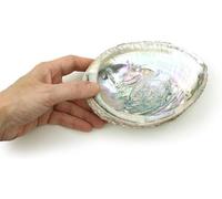 1pc Colorful Fashionable Large Abalone Shell Bowl,4-4.5 Inch Exquisite Natural Sea Shell Smudge Bowl for Sage Burning and Incense for Decor,Display and Great Gift,Incense and Incense Holders