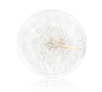 1PC Crystal Ball Dandelion Paperweight Dreamball Unique Resin Paperweight Gifts for Children Friends 9CM