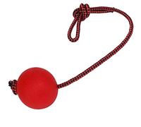 1PC Dog Toy Ball with Rope Elastic Solid Rubber Chew Toy Dog Tug Toy Rope Ball Dog Training Solid Elastic Ball for Small Dogs PuppyS Pet Supplies Comfortable and Environmentally