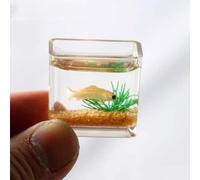 1PC Dollhouse Miniature Fish Tank,Dollhouse Mini Glass Fish Tank Model Home Ornament Miniature Fish Bowl Scene Model Dollhouse Decor Toy,Dollhouse Accessories(Square)