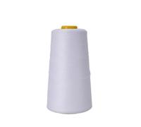 1pc Double Foal Color Stretch Winding Thread 100D Polyester Elastic Silk Supply Garment Sewing Clamping Line(A)