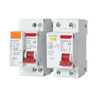 1pc DPNL 230V 1P+N Residual current Circuit breaker with over and short current Leakage protection RCBO MCB(63A)