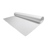 1PC Expanded PTFE Sheet - Heat Resistant Microporous PTFE Panel, 0.5-8mm Thick, Ideal for High-Temperature Applications(500x500x0.5mm)