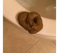 1Pc Fake Poopy Toy, Sproof Realistic Fake Poop, Brown Novelty Floating Fake Poop Toys for April Fools' Day Prank, Perfect Gag Gift, Prank Gift Gags Practical Joke Toys