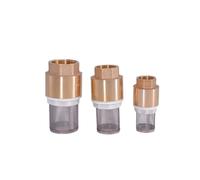 1pc Female Thread Brass Check Valve with Mesh Strainer - 1/2" to 3" Sizes for Water Applications(3")