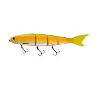 1pc Fishing Lure 300mm Swimming Bait Jointed Floating 180g/Sinking 188g Giant Hard Bait Section Lure For Big Bait Bass Pike(Color-300-21,F 245mm 105g)