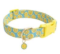 1PC Fruit Pattern Pet dog collar with Fruit metal pendant do for Cat Puppy Dog