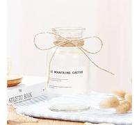 1PC Glass Bud Vase Set Apothecary Jars Clear Fragrance Bottles Glass Bottles Small Rustic Flowers Vase Vintage Medicine Bottles Mini Flower Vases Centerpiece Wedding Home Bookshelf Table Decor (8.5oz)