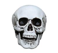 1Pc Halloween Skull Prop Plastic Simulation Skeleton Decor Party Tricky Toy