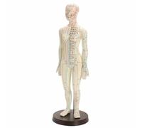 1PC Human Body Acupuncture Model Female Meridians Model Chart Book Base 48cm