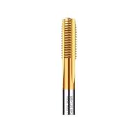1PC M2-M24 Machine Screw Tap Titanium Coated Spiral Metric Thread Tap Straight/TiP Plug Tap HSS6542 Threading Tool Tap(Straight grooved tap,M12)