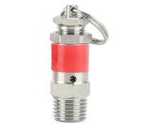 1PC Mini 1/8" 1/4" BSPT Male 0.5-10 Bar 304 Stainless Steel 04 Stainless Sanitary Spring Pressure Relief Safety Valve Air Compressor(0.1mpa 1Bar,1l4 BSPT)