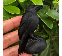 1pc Natural Black Obsidian Crow Skull Quartz Crystal Carved Skull Figurines Healing 2.76"