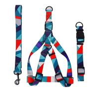 1PC Pet Abstract Chest And Harness Set, Dog Webbing Leash, Dog Walking Leash, Dog Collar Three-piece Set(XL)