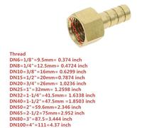 1pc Pipe Fittings Brass Barb Hose Tail Fitting Fuel Air Gas Water Hose Oil ID 4mm-19mm to 1/8'' 1/4'' 3/8" 1/2'' Female Thread Copper(4mm)