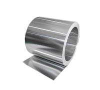 1pc Silver Al Metal Board - 1060 Strong Aluminum Sheet for Food - Lightweight Aluminum Foil Plate (0.05-3mm Thickness)(0.4X100X1000mm)