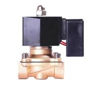 1pc Solenoid Valve 2T-10 2T-15 2T-20 2T-25 2T-32 DC24V DC12V AC220V