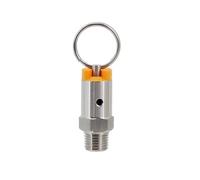 1pc Stainless Steel 304 Pressure Relief Valve for Homebrew Kegs - 1/4" Male NPT, Adjustable 17PSI to 100PSI(17ps)