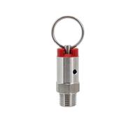 1PC Stainless Steel 304 Pressure Relief Valve PRV for Homebrew Kegs - 1/4" Male NPT, Adjustable 17PSI to 100PSI(35psi)