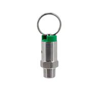 1pc Stainless Steel 304 Pressure Relief Valve PRV for Homebrew Kegs - Adjustable 17PSI to 100PSI, 1/4" Male NPT Connection(65psi)