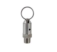 1pc Stainless Steel 304 Pressure Relief Valve PRV for Homebrew Kegs - Adjustable 17PSI to 100PSI, 1/4" Male NPT Connection(100psi ss)