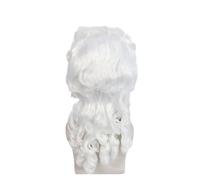 1pc Synthetic Curly Wig Lawyer Judge Cosplay For Day Accessories(WHITE)