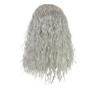 1pc Synthetic Grey Wig Paired With Long Beard Wave Shaped Wizard Cosplay For Film And Television Men Dress Up