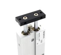 1pc Two Rod Cylinder TN Double Acting bore 32mm Stroke 10-200mm with Magnet Air Pneumatic Cylinder TN32X10S TN2X30S(TN32X50-S)