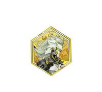 1PC Zenless Zone Zero Badge peripheral Badge cute Cartoon alloy Badge accessories for fans (Banyue)