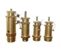 1PCS 1/8"" 1/4"" 3/8"" 1/2"" 3/4"" 1"" BSPT Male Threaded Air Pressure Relief Valve for Air Compressor Steam Boiler(0.25 Inch)