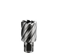 1Pcs 12-60mmx25mm HSS-E Annular Cutter Hole Saw Core Drill Bit for Magnetic Drill Universal/Weldon/Fein Quick-in Shank(22x25)