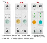1PCS 1P+N 2P Din Rail WiFi Smart Energy Meter Power Consumption kWh Leakage Circuit Breaker Timer Switch Relay Voltmeter for(2P)