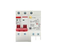 1PCS 230V 2P SPD leakage circuit breaker with overload and overvoltage with protection leakage protector(25A)