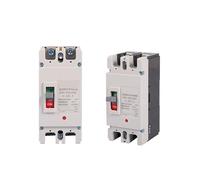 1PCS 2P Circuit Breaker DC 40A63A80A100A125A160A175A200A225A250A300A UPS Plastic case air Switch DC500V photovoltaic Solar Isolation Protector(100A)