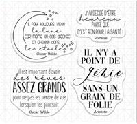 1Pcs 3.94 x 3.94 Inch French Words Transparent Clear Stamps for Card Making Scrapbooking Christmas Decoration Supplies,Stamps for Crafting,Style 17