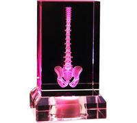 1pcs 3D Crystal Human Spine Anatomical Model - machine Etched Glass Sculpture for Healthcare applications Students, (6x6x9cm)