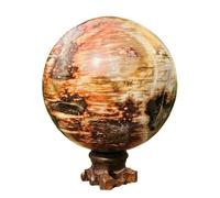 1pcs 550-600g Petrified Wood Crystal Ball Polished Decoration Gift