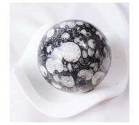 1pcs 7.5-8cm Nature Shell Jasper Sphere Crystal Jade Ammonite