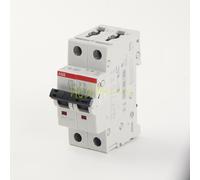 Circuit Breaker Switch S 202 C32 2P 32A 6KA (S466202)