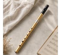 1Pcs Aluminum Tin Whistle, Celtic Flute, Irish Wind Instrument,Gold & Black | Durable Aluminum Alloy Body with Precision Tone Holes, Detachable Mouthpiece, Includes Storage Bag, 13.4 Inches