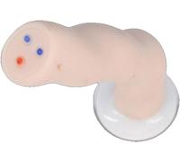 1pcs Anatomical Umbilical Cord and Placenta Model for Healthcare applications Training - Life Size Neonatal Model with Veins and Arteries