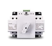 1Pcs ATS 2P 63A 230V MCB Type Dual Power Automatic Transfer Switch (Size : 2 Input 2 Output)(2 INPUT 2 OUTPUT)