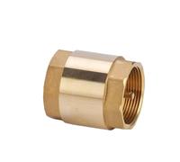 1Pcs Brass Check Valve - NPT in-Line Spring, 1/2inch, 3/4inch, 1inch, 2inch, DN15, DN20, DN25(DN25)