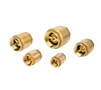1pcs Brass Thread in-Line Spring Check Valve DN15 DN20 DN25 DN32 DN40 DN50(1-1/2")