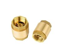 1pcs Brass Thread in-Line Spring Check Valve for Water Control Check Valve Water Pump Valve DN15 DN20 DN25 DN32 DN40 DN50(1-1/4")