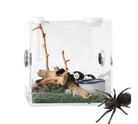 1Pcs Breeding Box, Acrylic Transparent Reptile Habitat Case, for Spider Lizard Geckos Snails, Viewing Box - for Spider, Crickets, Snails, Hermit Crabs, Tarantulas, Geckos