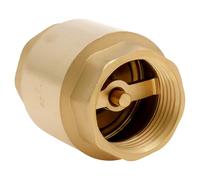 1PCS Check Valve 1 Inch One Way Brass Check Valve DN25 Brass Spring Checks Valve Copper One Way Non Return Vertical Checks Valves Non Return for Air Conditioning and Compressed Air System
