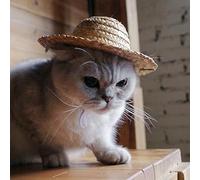 1Pcs Cute Mini Summer Straw Hat, Adjustable Outdoor Small Cat Dog Sunhat, Cute Pet Costume, Novelty Practical Pet Accessory